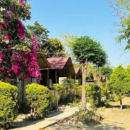Hotel Camp High 5 Jayalgarh Dāngchura Zewnętrze zdjęcie