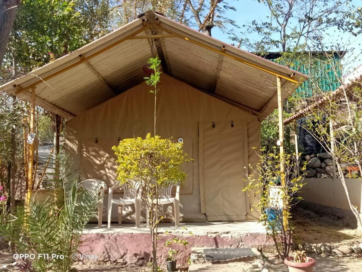 Hotel Camp High 5 Jayalgarh Dāngchura Zewnętrze zdjęcie