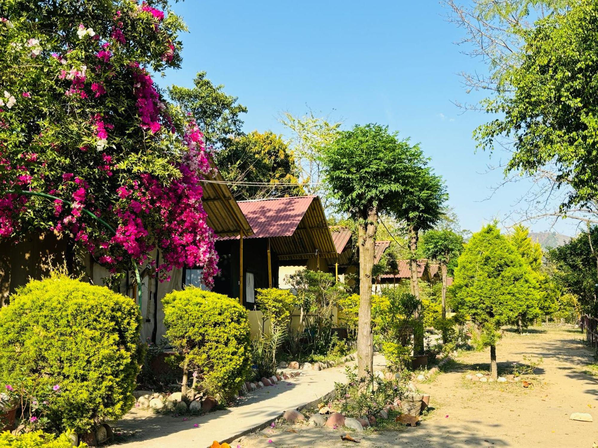 Hotel Camp High 5 Jayalgarh Dāngchura Zewnętrze zdjęcie
