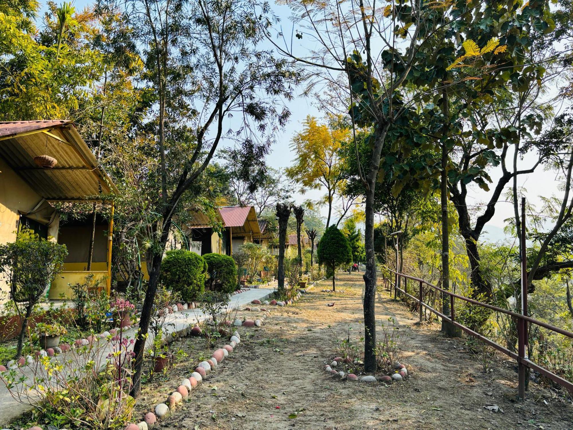 Hotel Camp High 5 Jayalgarh Dāngchura Zewnętrze zdjęcie